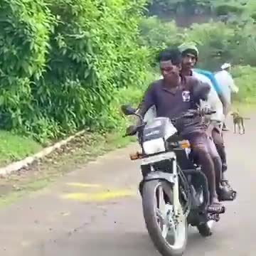 Rare Indian Striped Hyena attacks man in Pune, India.