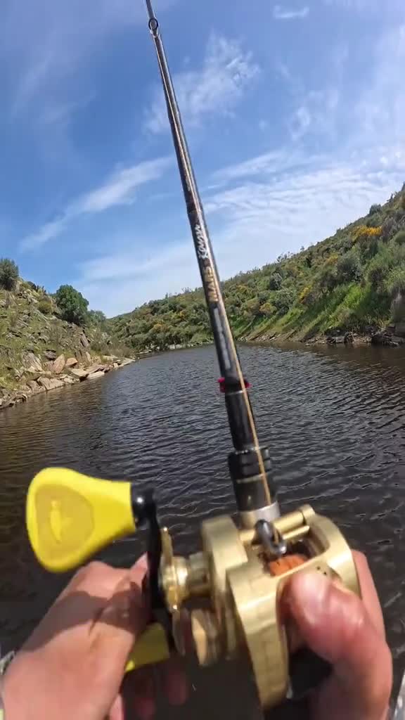 Satisfying Fishing on a Sunny Day