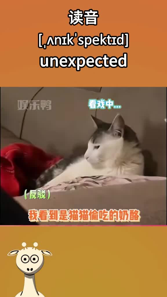 unexpected-adj.出乎意料的想不到的始料不及的#看视频学英语 #考研英语 #英语 #每天学习英语一点点 #猫咪日常 (1)