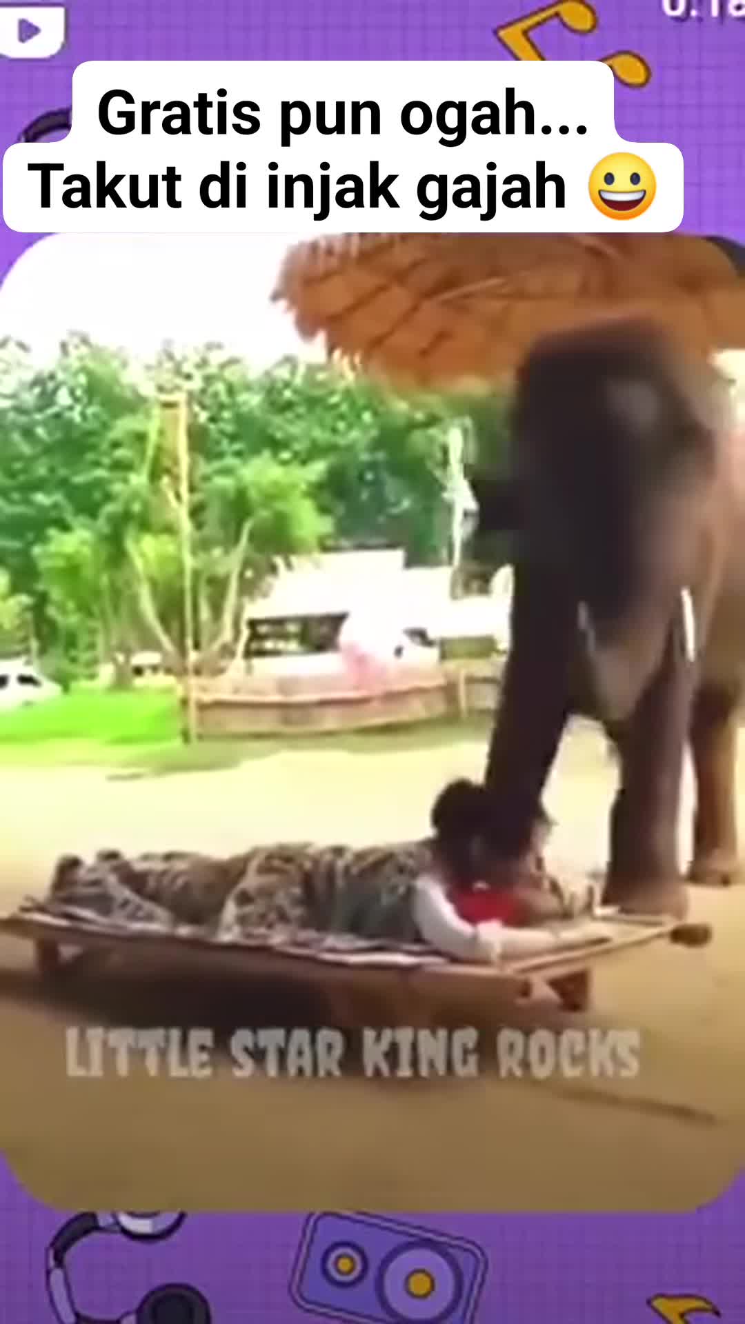 Even if it's free, no thanks... I'm afraid of getting trampled by an elephant