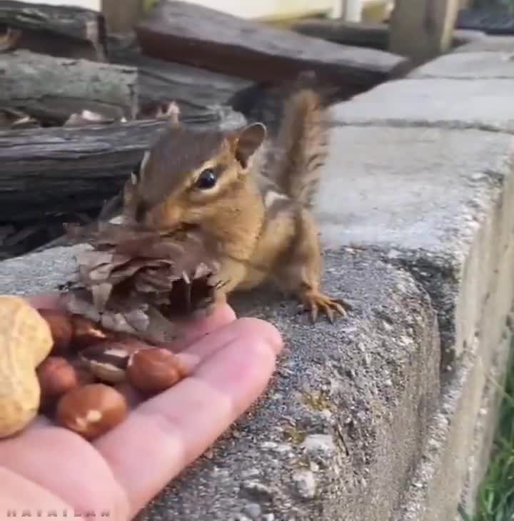 They made a deal