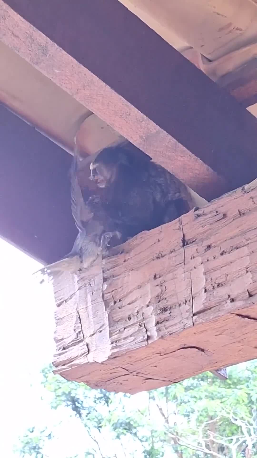 Does anyone know what that is