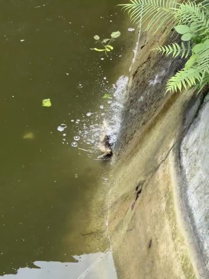 Just casually witnessing nature doing its thing... and honestly, it’s kinda mesmerizing.