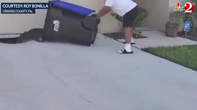 This brave guy in Florida came up with a pretty clever way to deal with an alligator