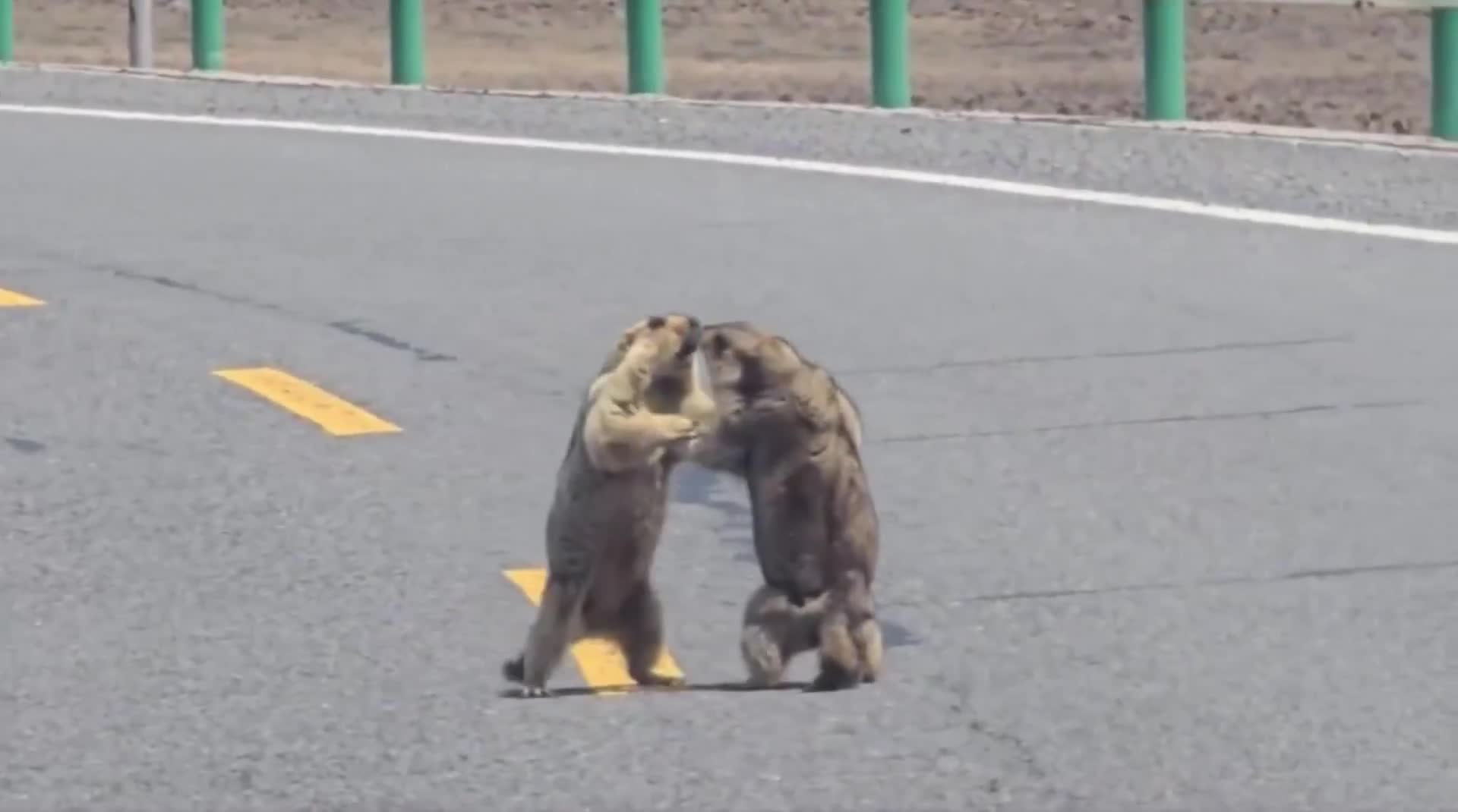 I wonder what the argument is about!