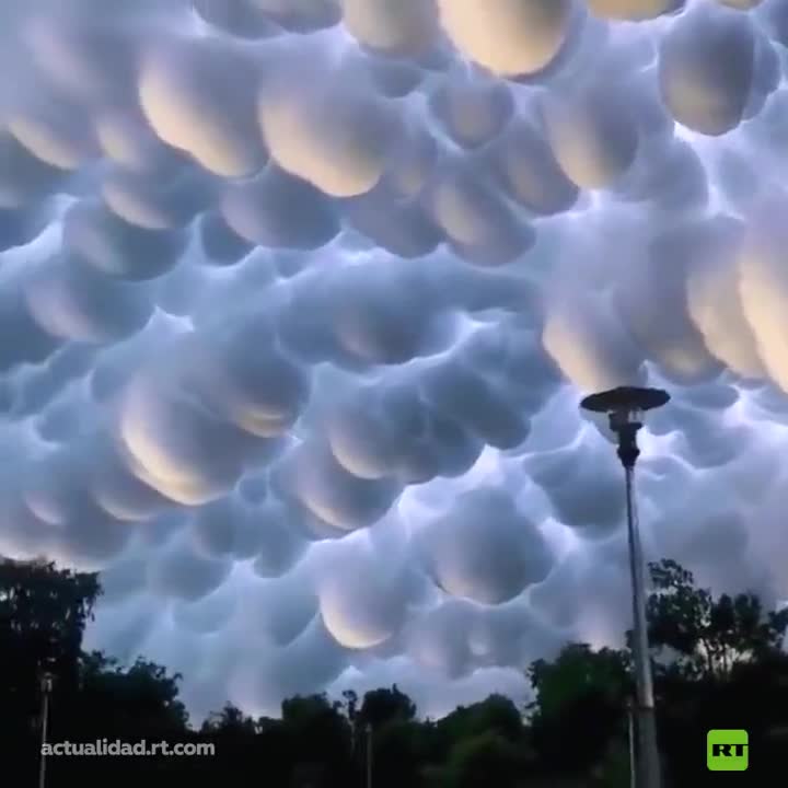 Mammatus clouds are cellular patterns