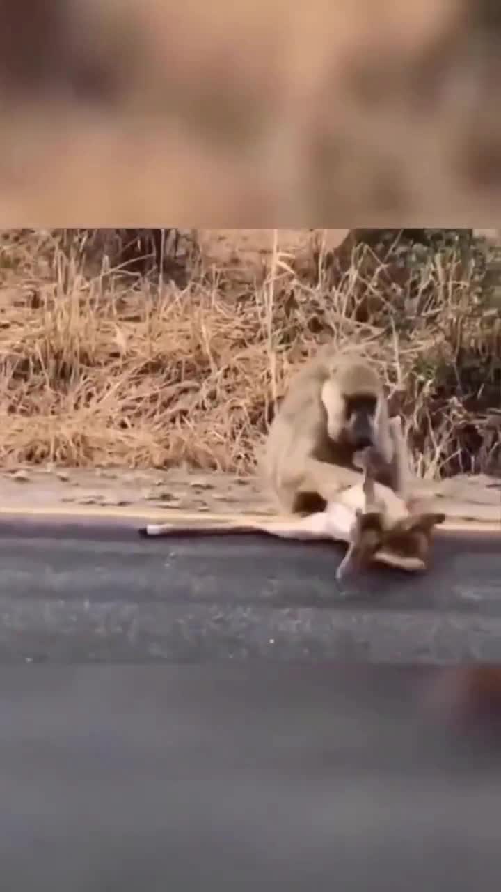 Tearing into it while it’s still moving