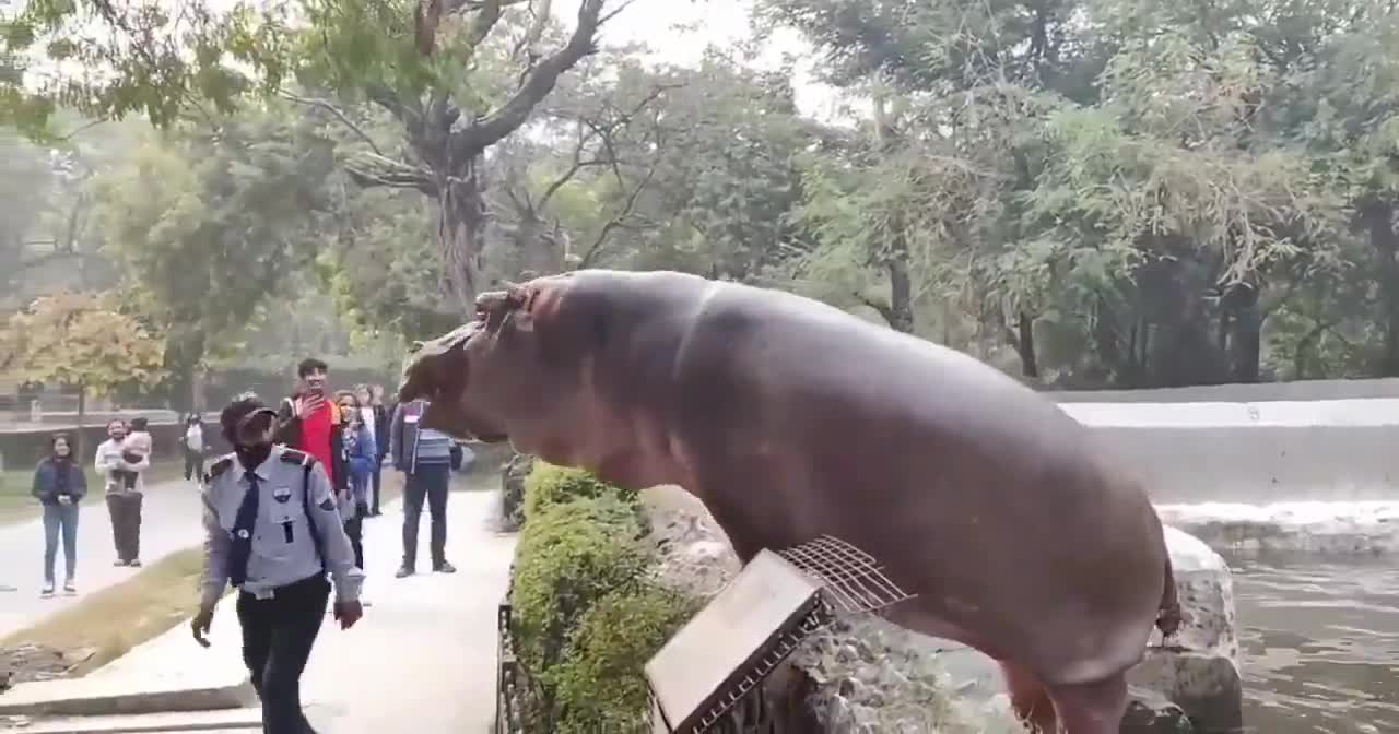 Incredible interactions between humans & animals.
