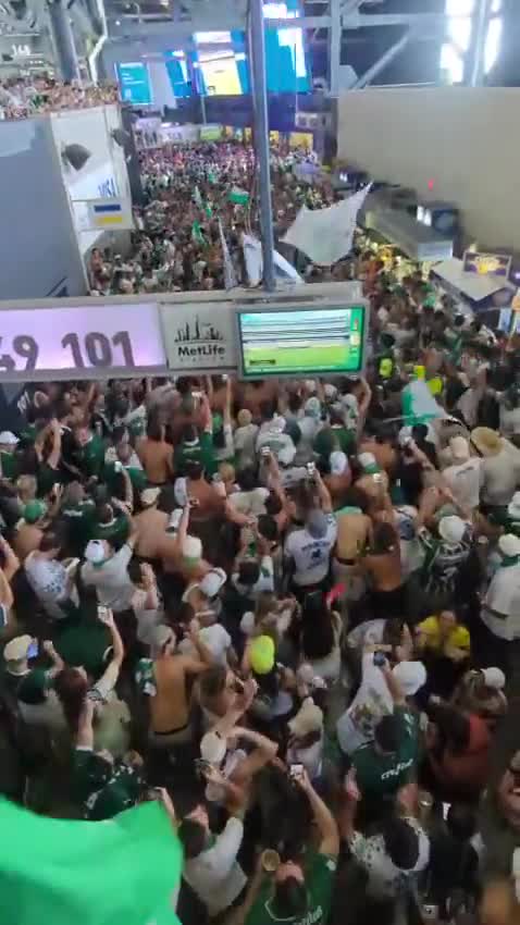 Palmeiras fans turn the delay vs Al Ahly into a party under the stands