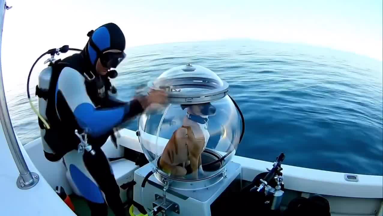 A man takes his fiend dog on a trip to the sea