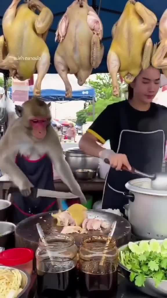 This employee works for no salary. Only food, love and care.