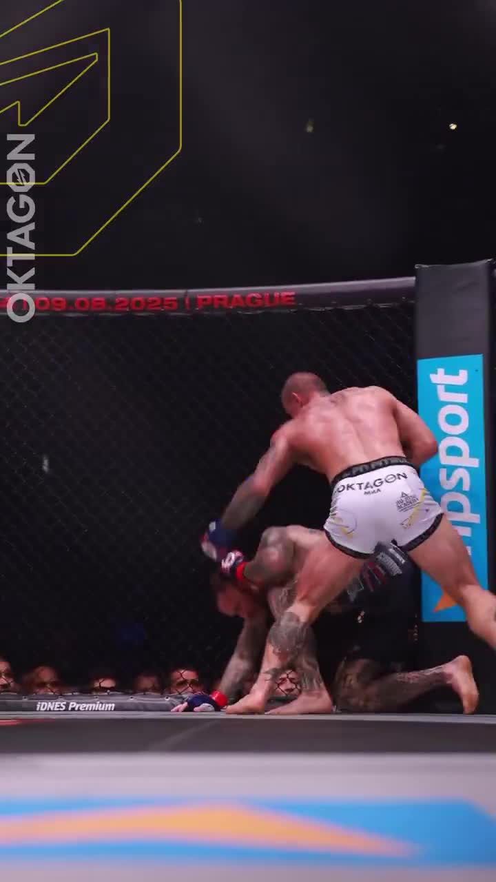 Christian Eckerlin vs. Robert Pukač
