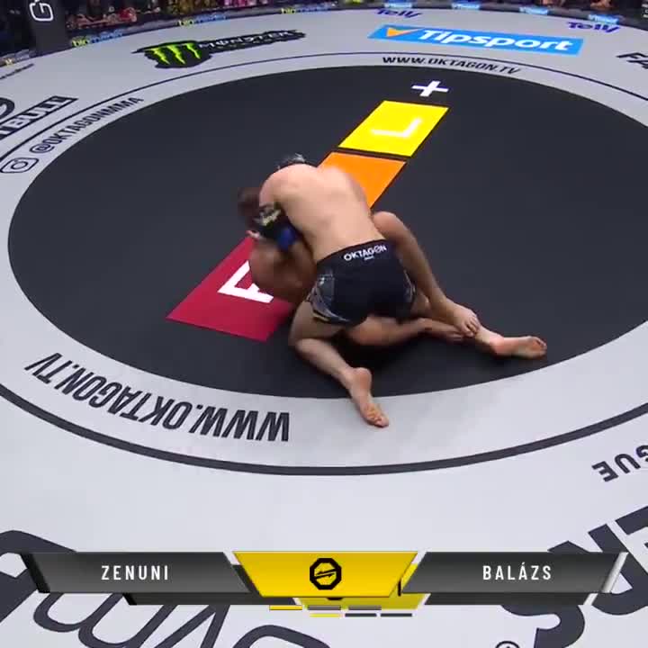 Altin Zenuni vs. Tibor Balázs