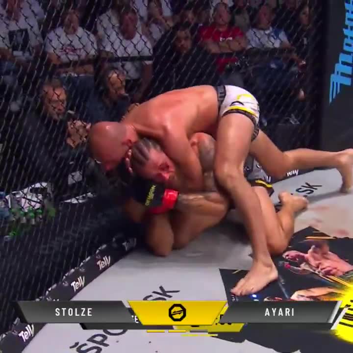 Jessin Ayari vs. Niklas Stolze