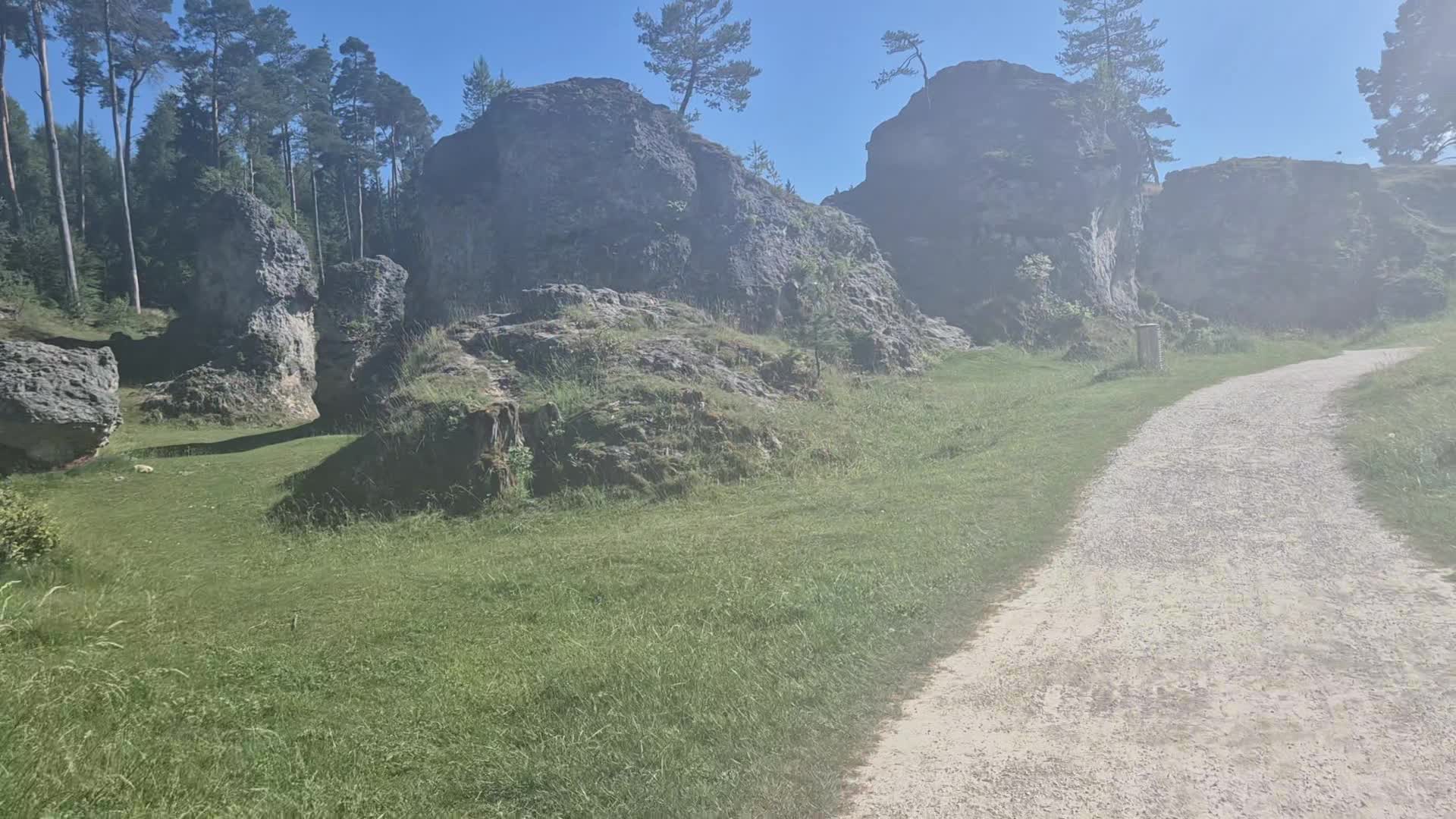 1000010729