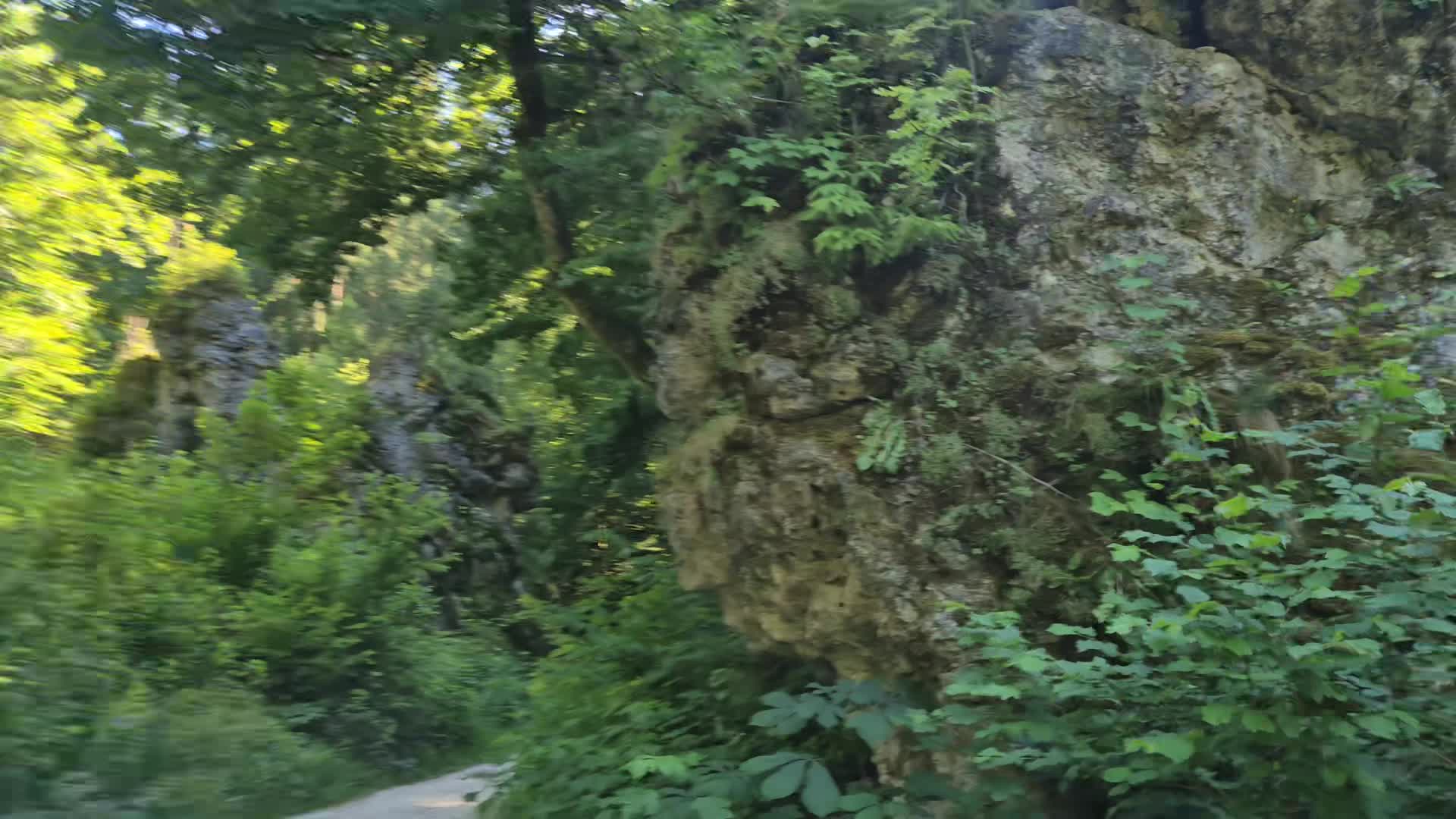 1000010734