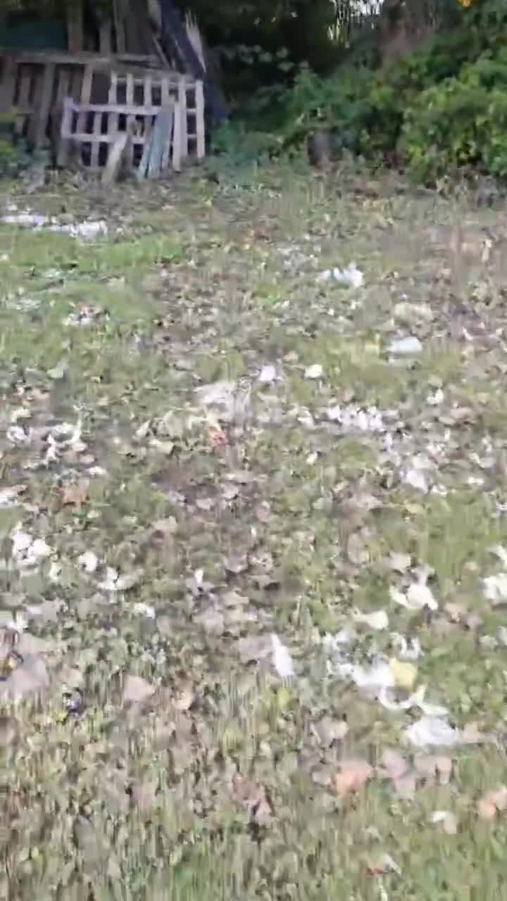 All that’s left is the head