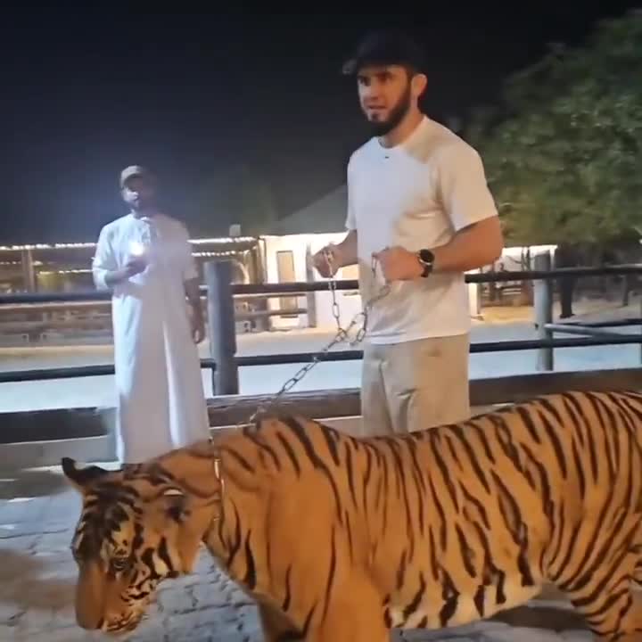 Islam Makhachev at the zoo