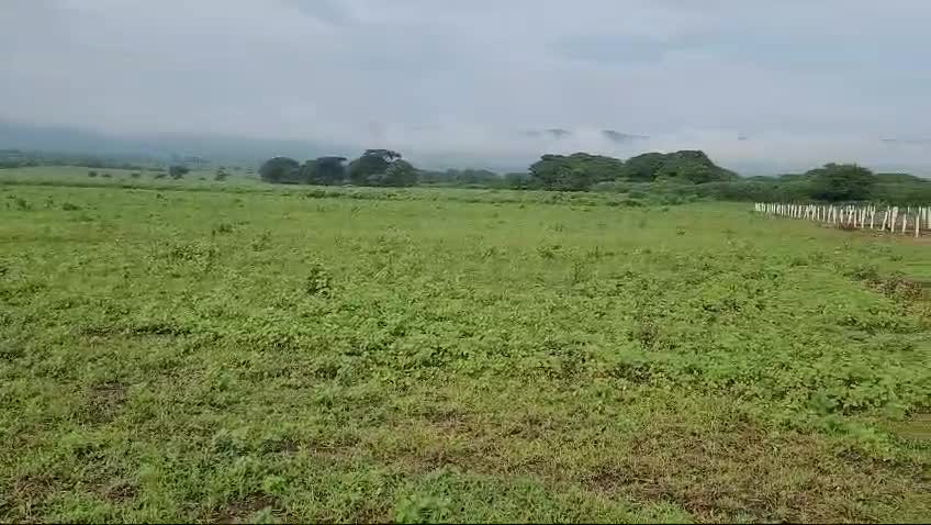 WhatsApp Video 2025-07-25 at 9.28.22 PM