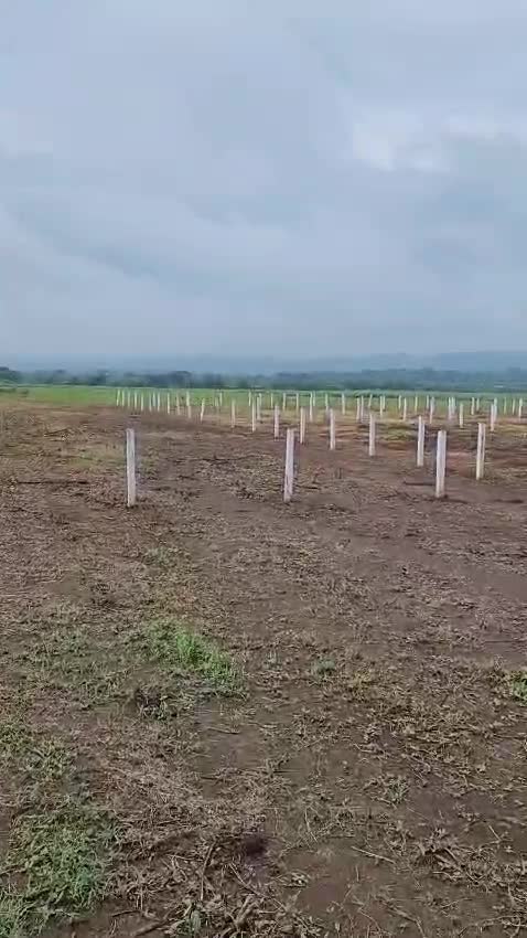 WhatsApp Video 2025-07-25 at 9.28.26 PM