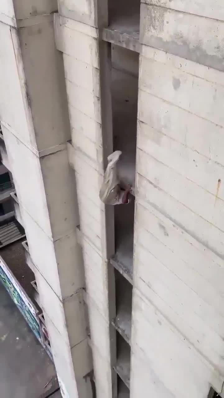Messing with life