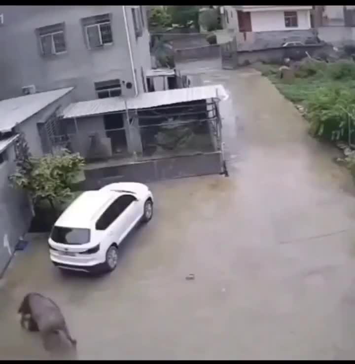 That could’ve been bad... still lucky.
