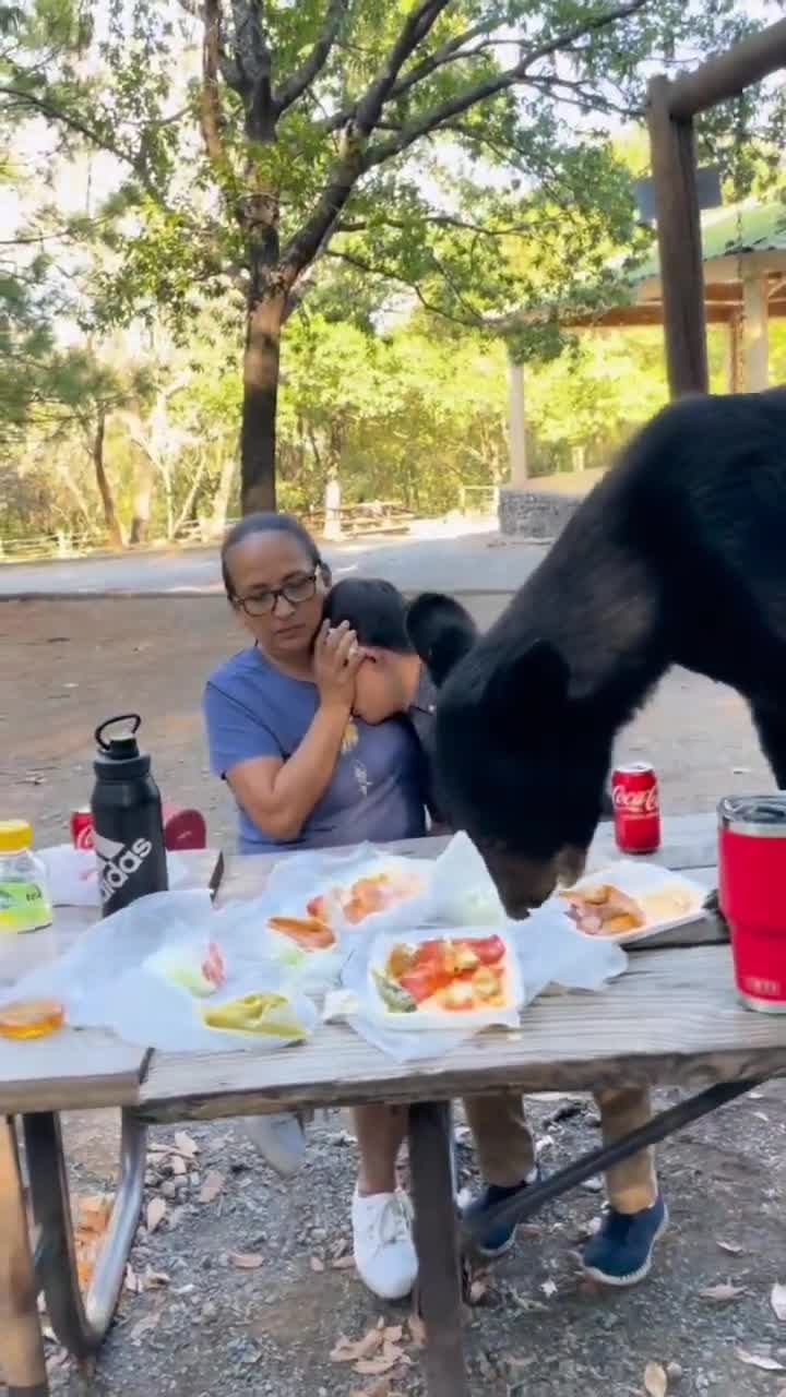 A mother stays incredibly calm while protecting her child from a bear