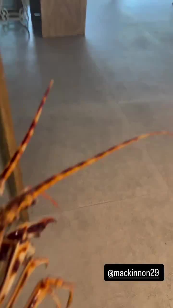 Erik Johnson sneaks up behind Nathan MacKinnon with a lobster