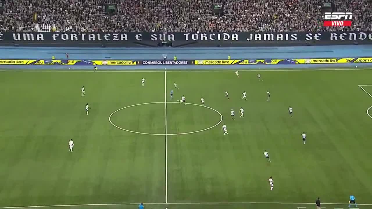 Botafogo1 - 0LDU-Quito