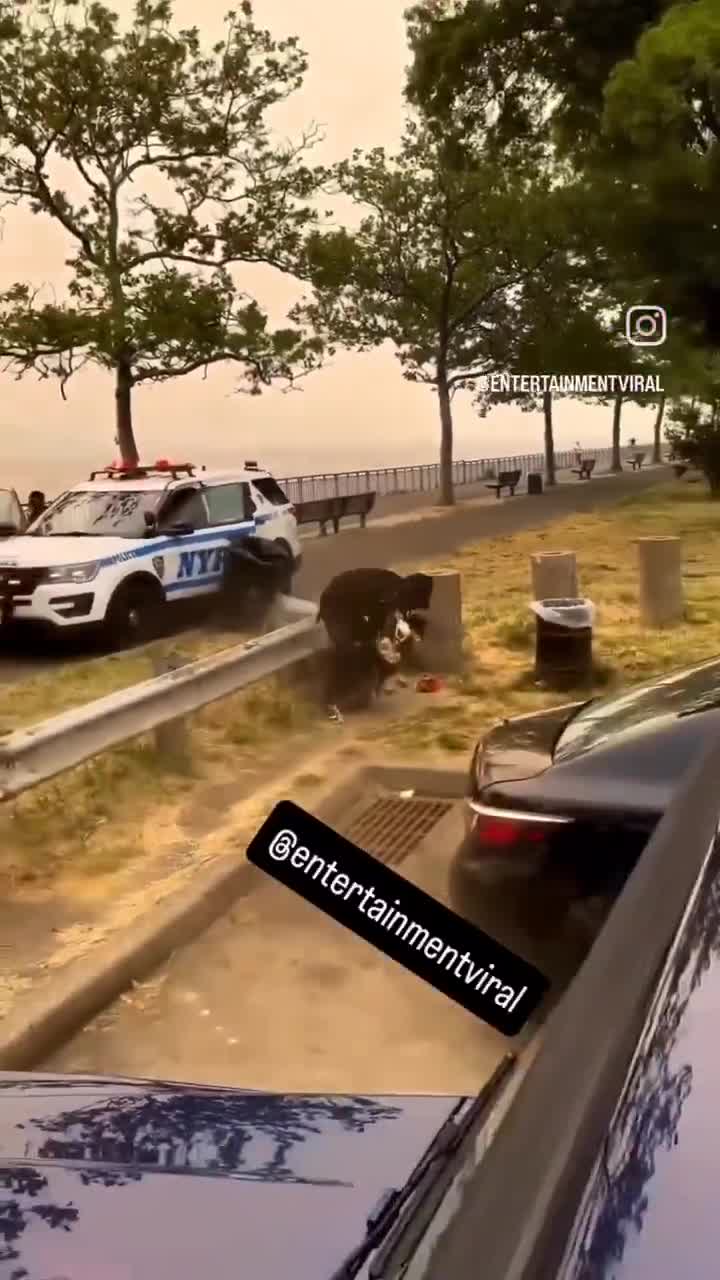 British police acted like this in London to phone thieves
