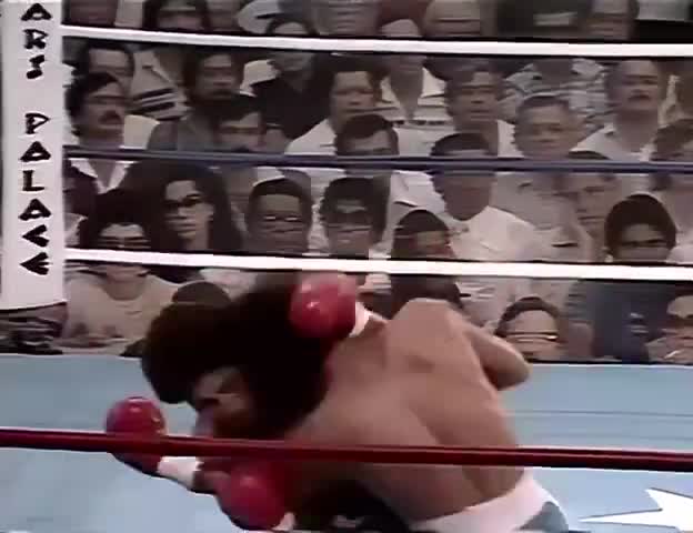 44 years ago today, Salvador Sanchez defeated Wilfredo Gomez by TKO in round 8 of 15