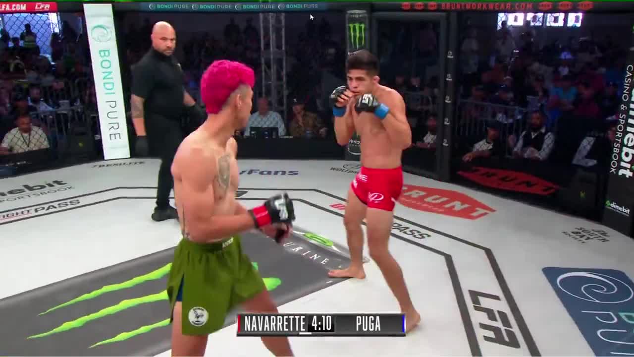 [SPOILER] Roman Puga vs Raul Navarrette - LFA 215