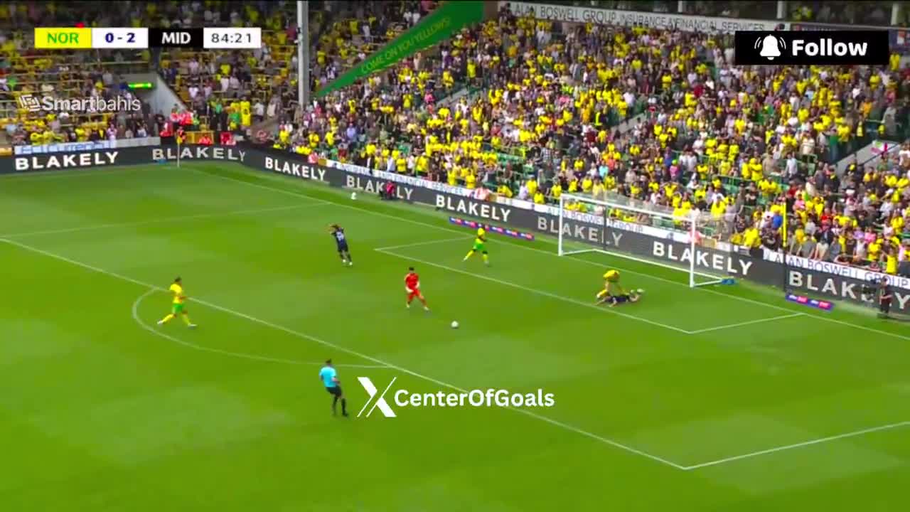 Norwich City 1-2 Middlesbrough