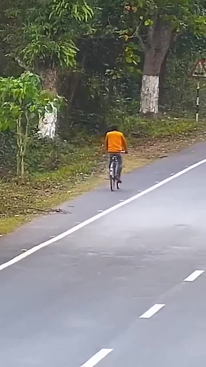 Leopard Knocks Over Cyclist in India