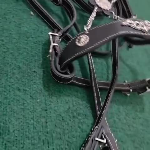 WhatsApp Video 2025-08-30 at 2.31.07 PM (1)