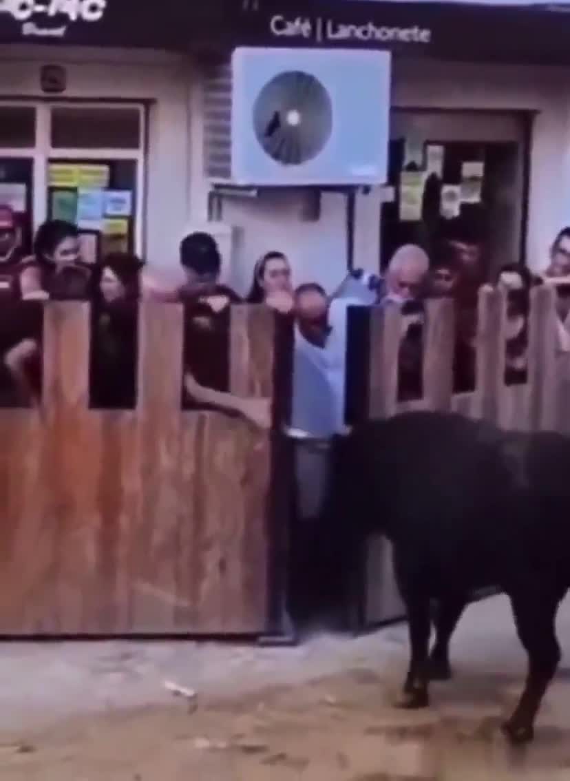 That bull took his balls