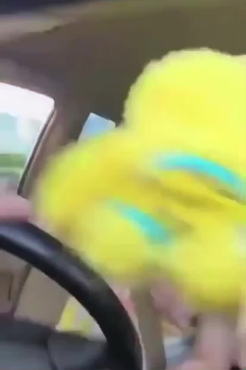 More focused on singing than driving
