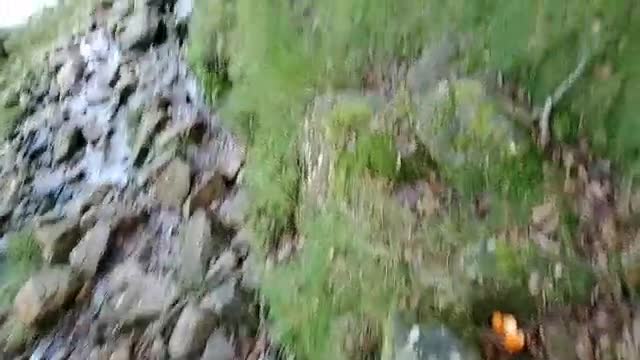 DLive Your Stream Your Ru3les