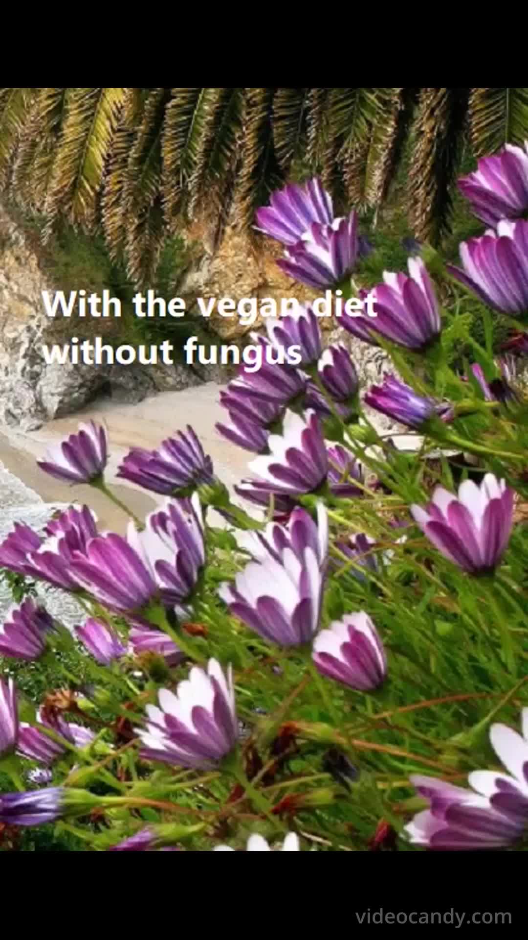 -Unnatural Fungal Invasion- Getting Clear Of The Fungus