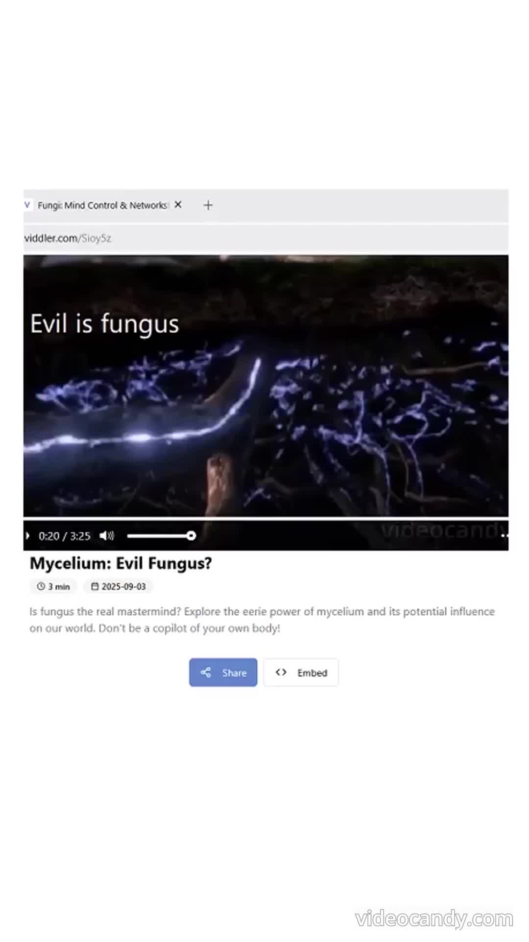 -Unnatural Fungal Invasion- 'A.I.' Talking About Mycelium