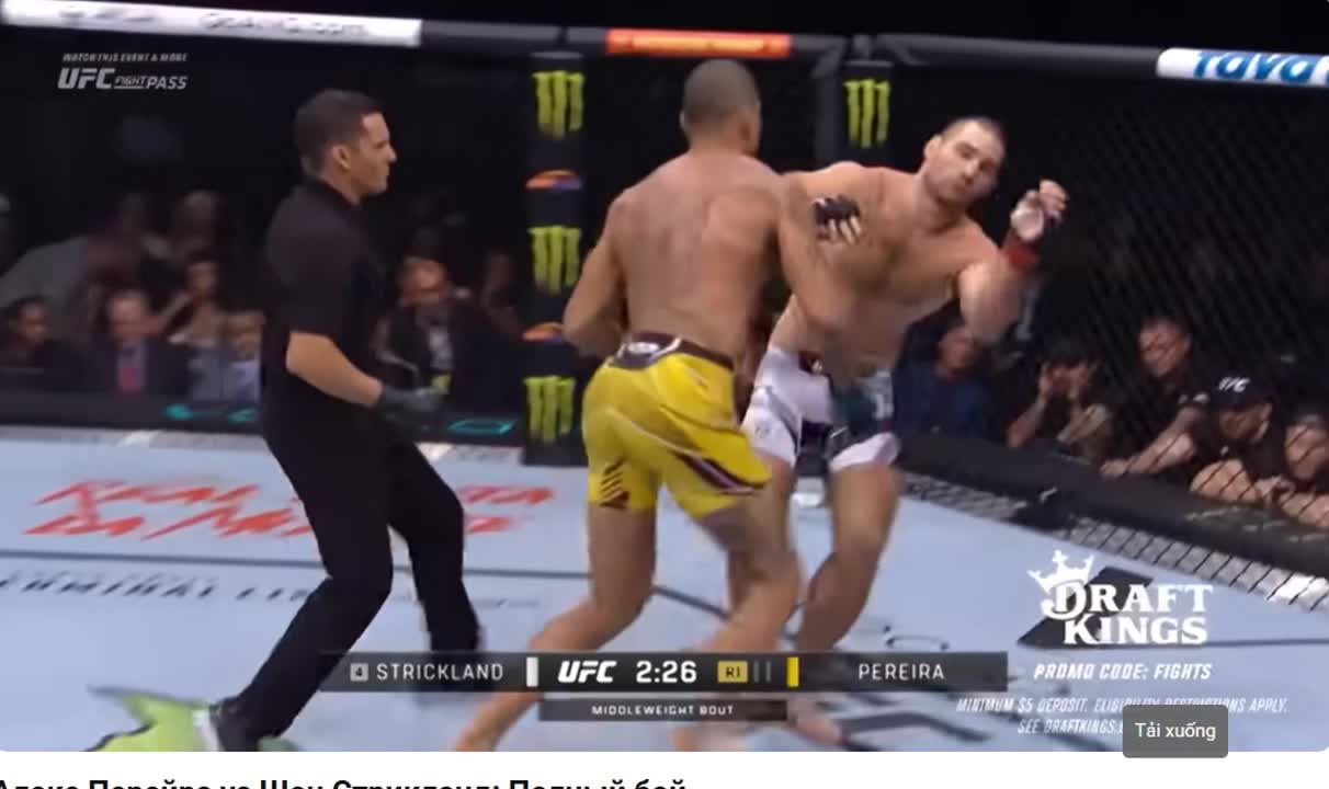 Notable Knockouts in Alex Pereira’s Career (2)