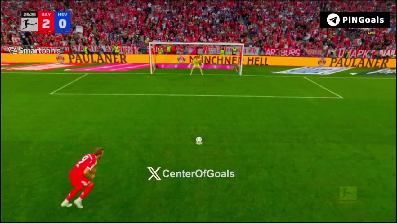 Bayern München 3-0 Hamburg
