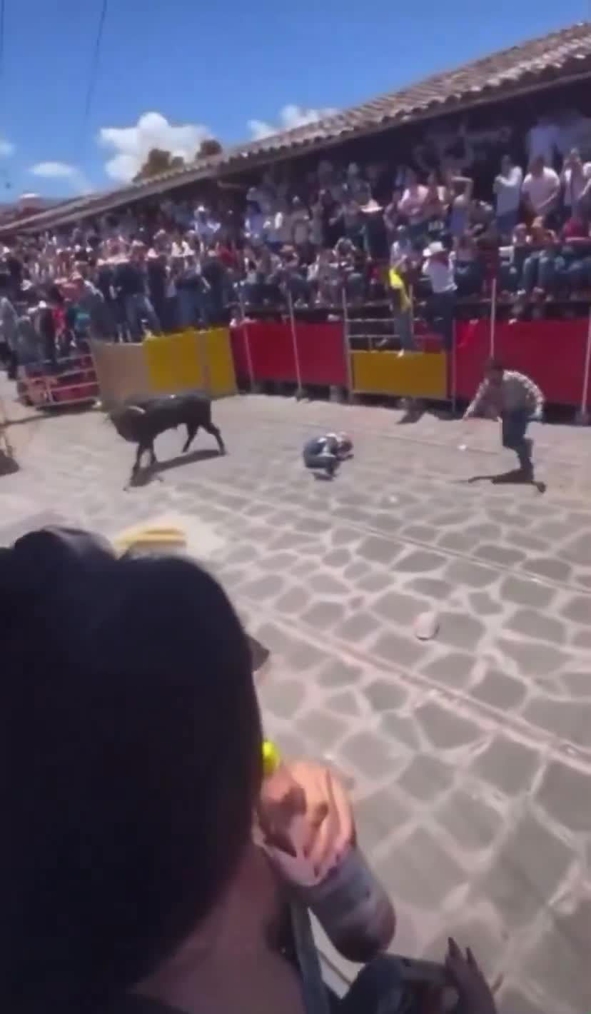 Dont mess around with wild animals