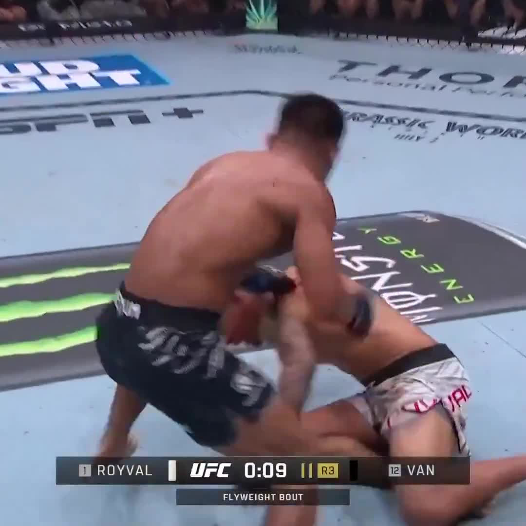 Last 15 seconds of Brandon Royval vs Joshua Van at UFC 317