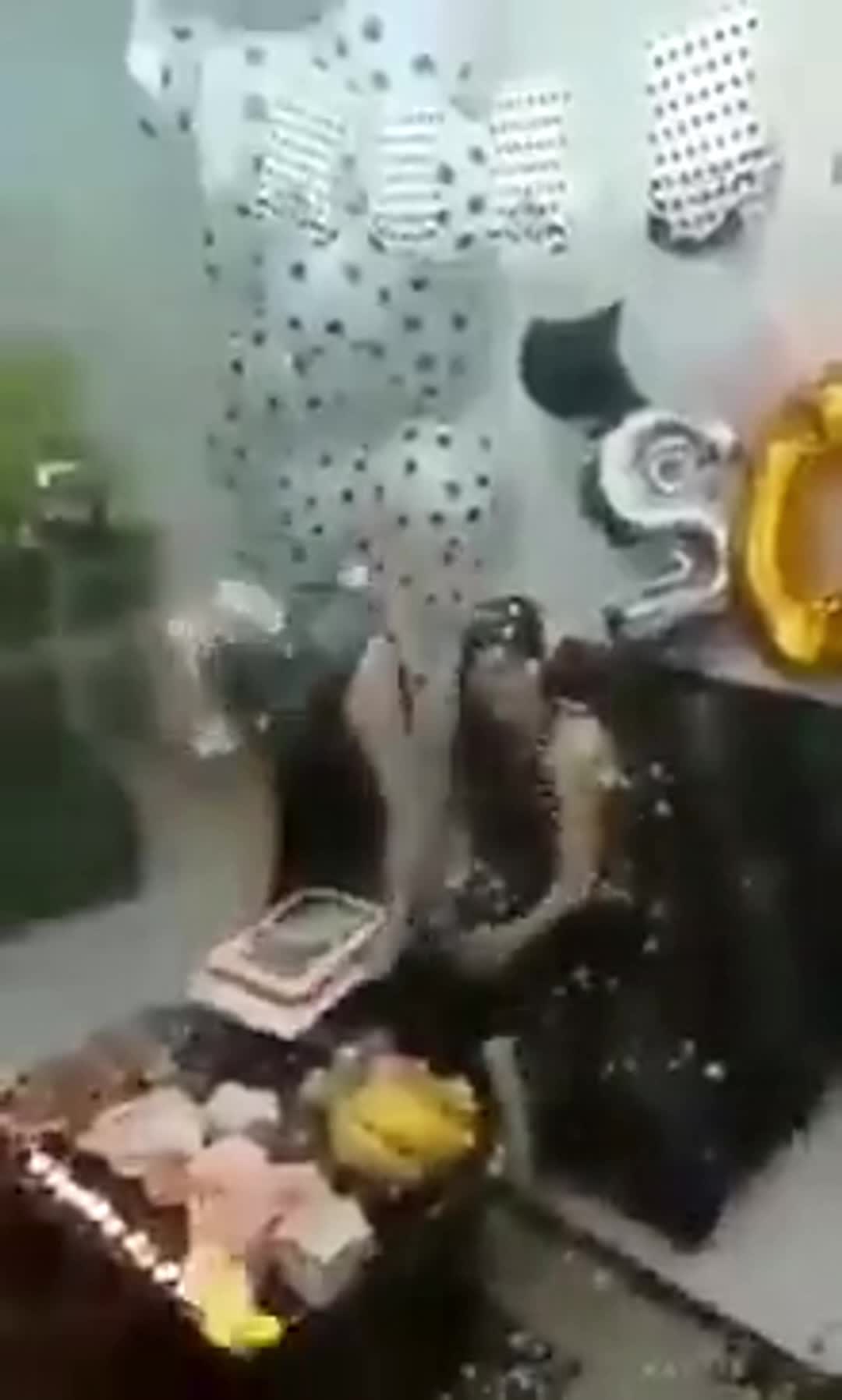 Birthday ruined (2)
