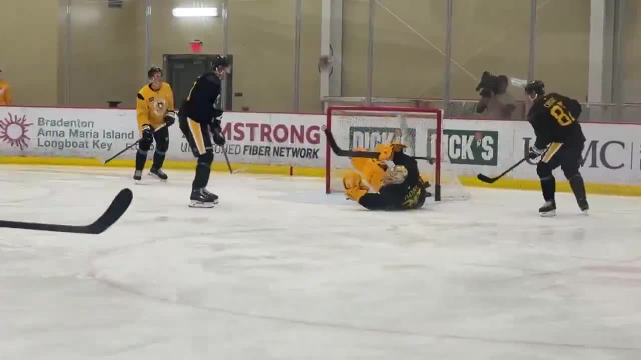 Marc-Andre Fleury, with the yellow pads, with a two-pad stack on Sidney Crosby. All is right in the world