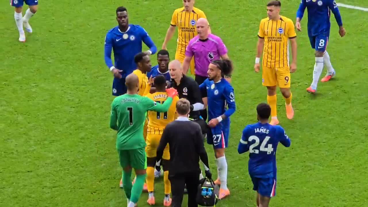 Moisés Caicedo involved in heated exchange with former Brighton teammates