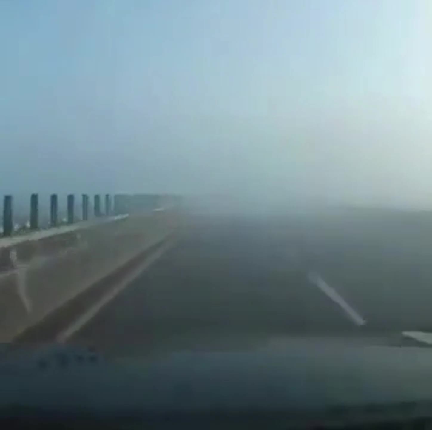 Never speed in foggy weather (2)