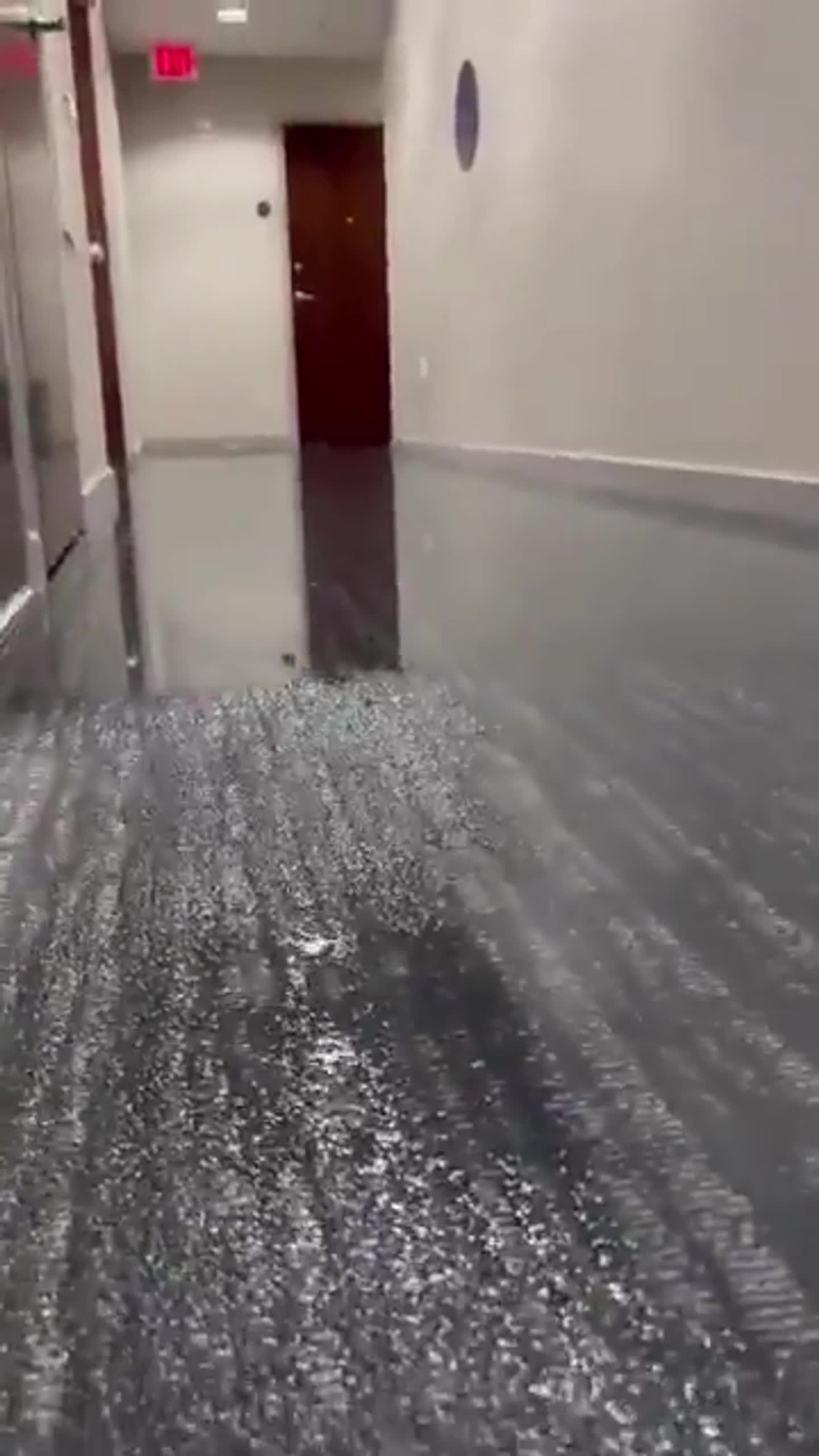 I think its time to move apartments (2)