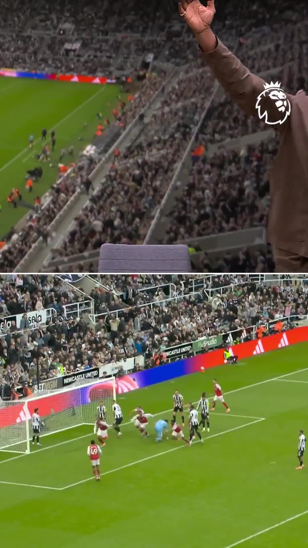 Ian Wright's reaction to Gabriel's 96th minute winner vs Newcastle.